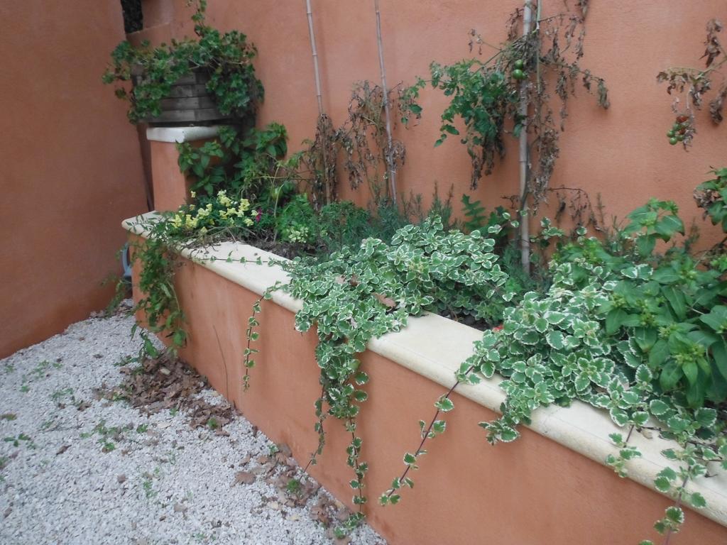 Appartement Le Romarin Mallemort Buitenkant foto